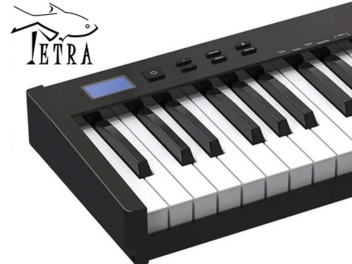 Class Digital Piano