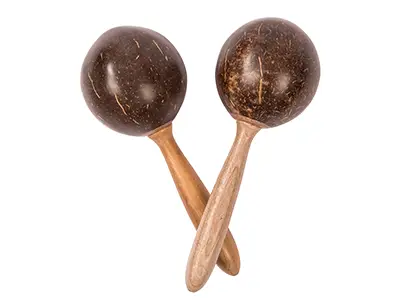 PP COCONUT MARACA – each